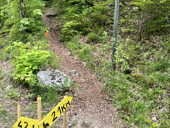 23-05-20 12-43-40 5495